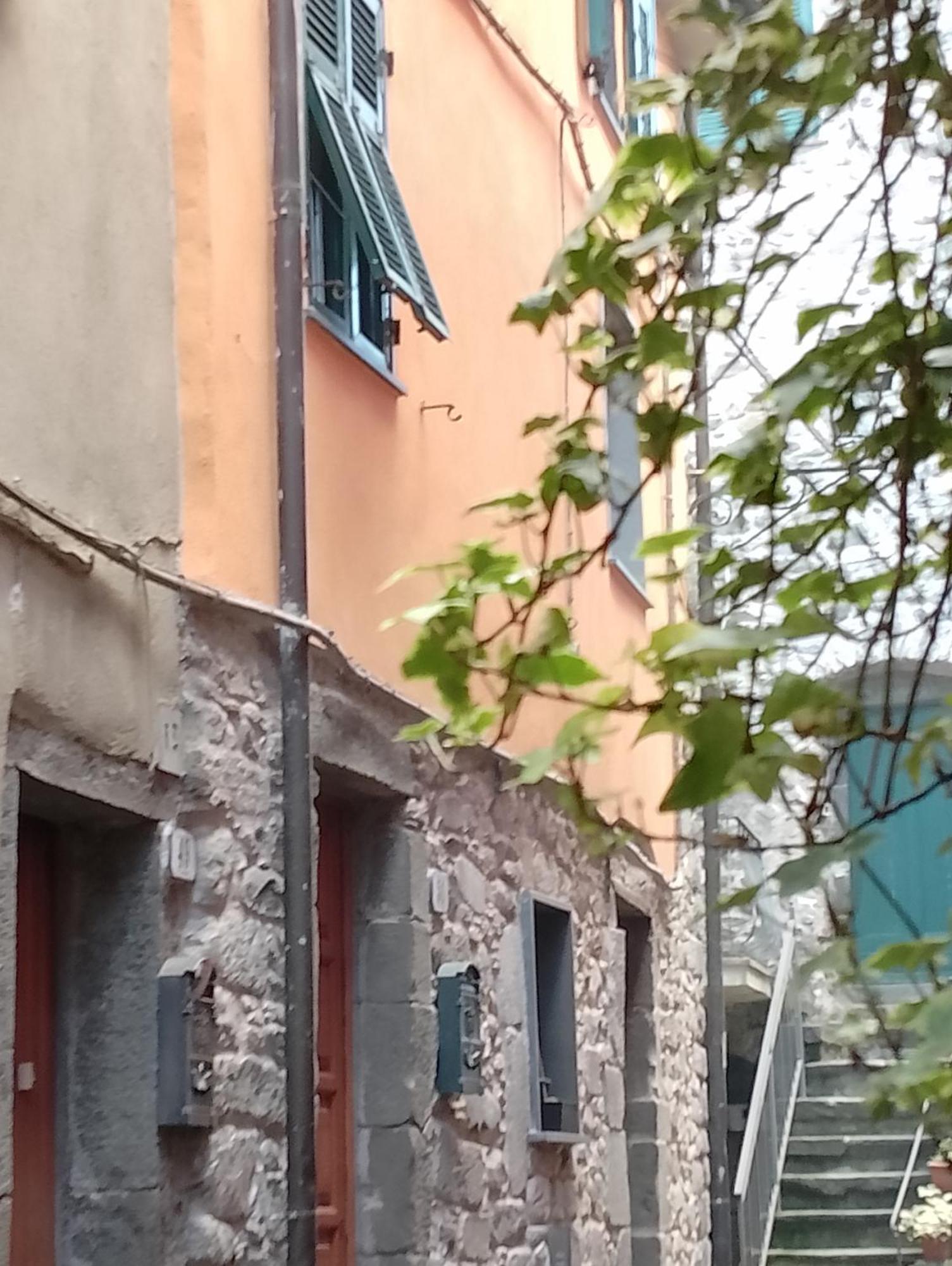 皮格诺尼 La Medievale 1旅馆 外观 照片
